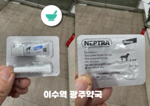 강아지 외이염